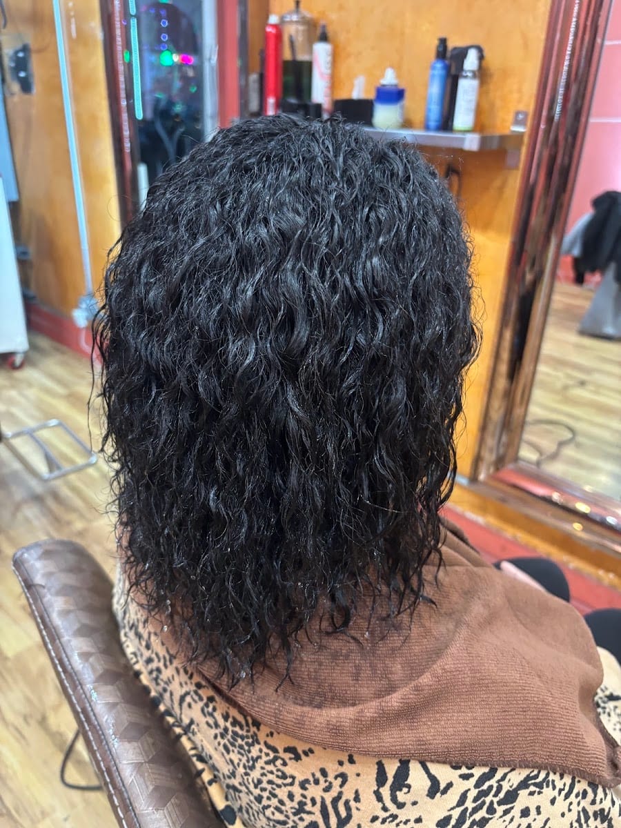 Snip 2 Curl