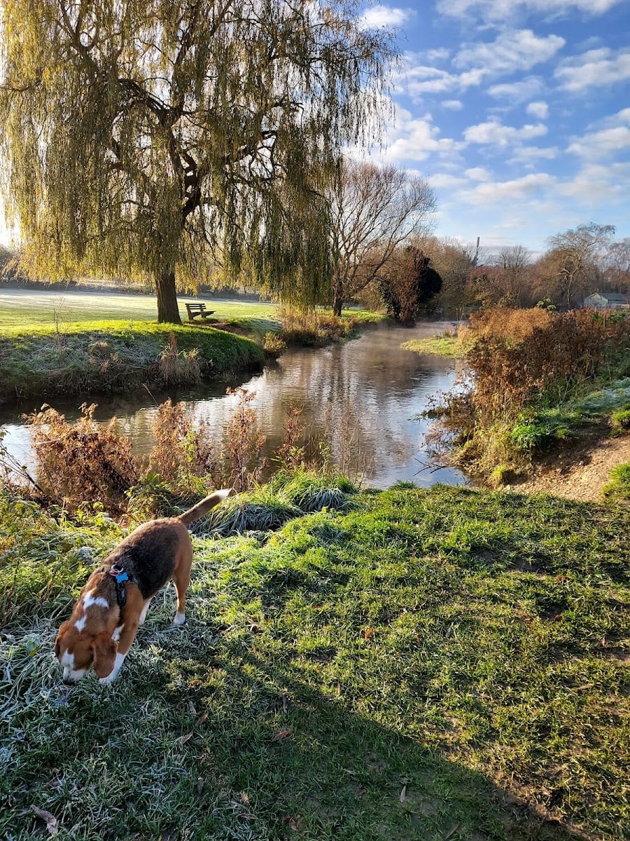 River Park