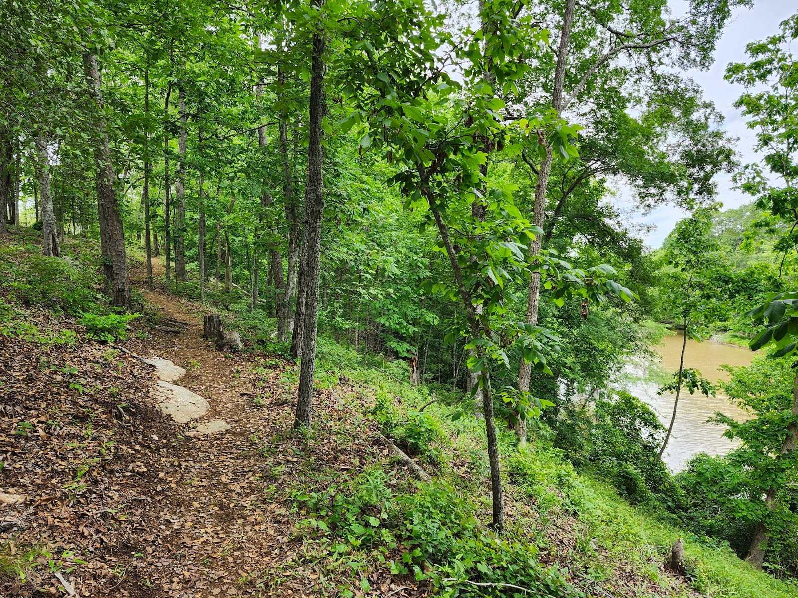 Piedmont Riverfront Park, photo 3