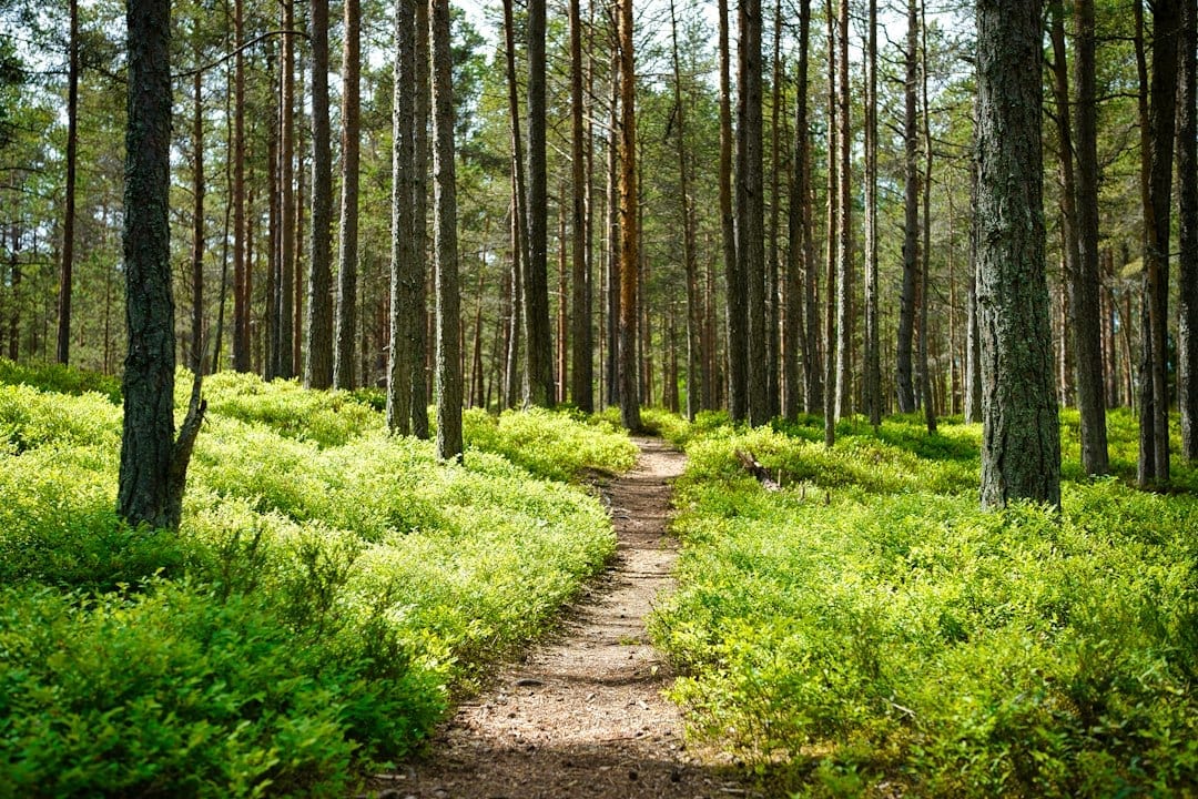 Top Outdoor Activities in Grand Traverse | Cherry Buzz