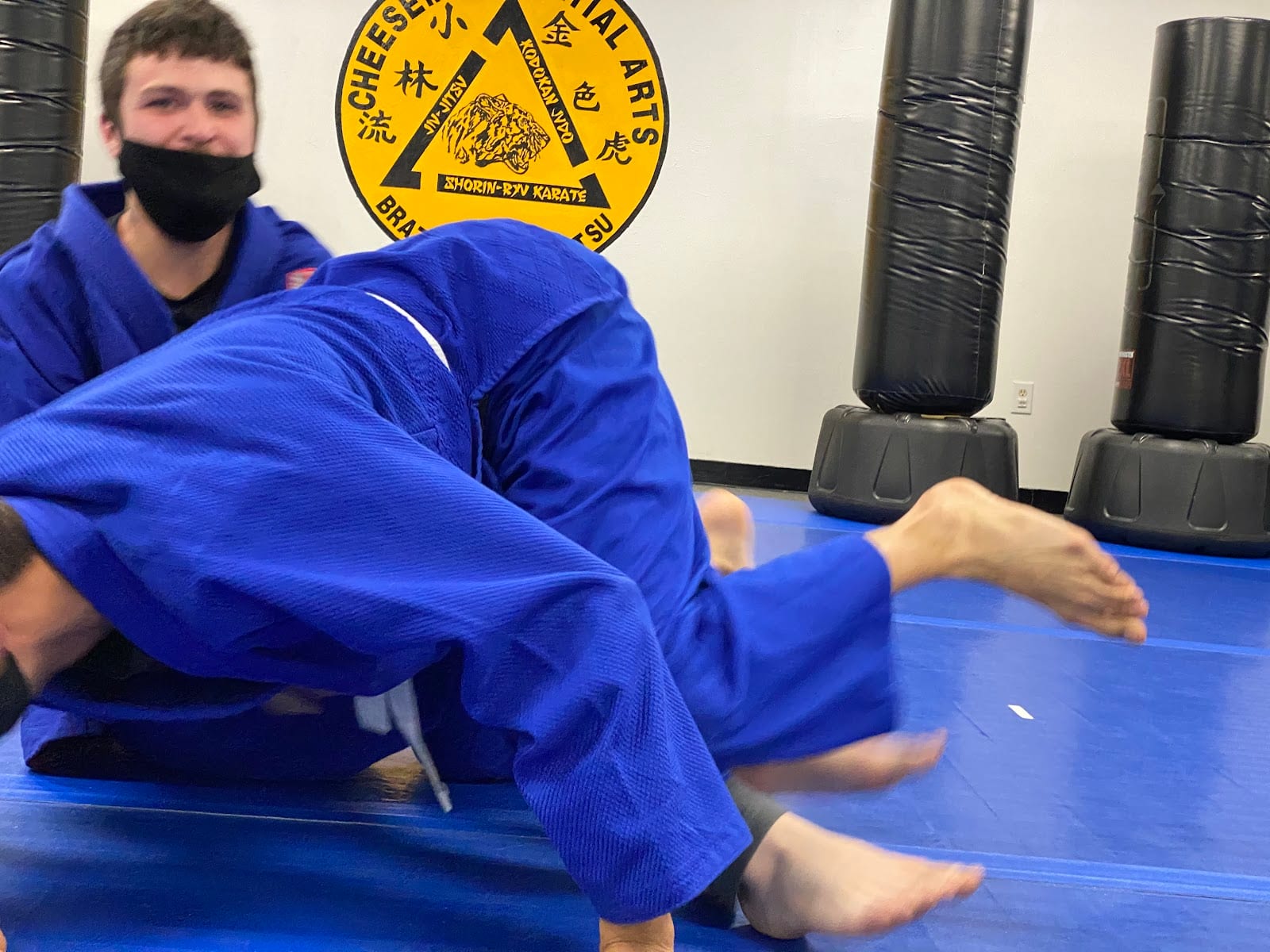 Cheeseman Martial Arts Brazilian Jiu Jitsu, photo 2