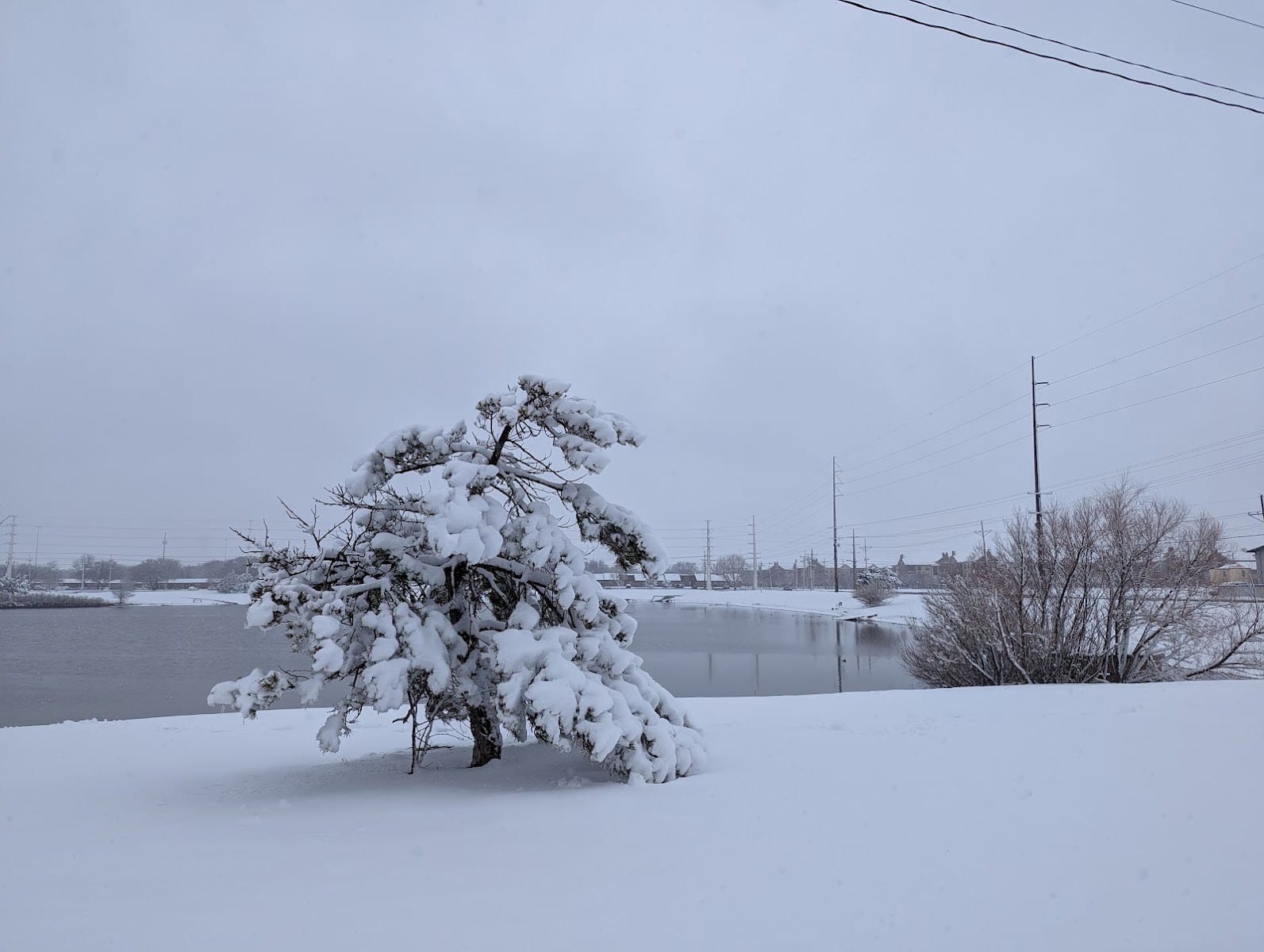 Buster Long Park, photo 3
