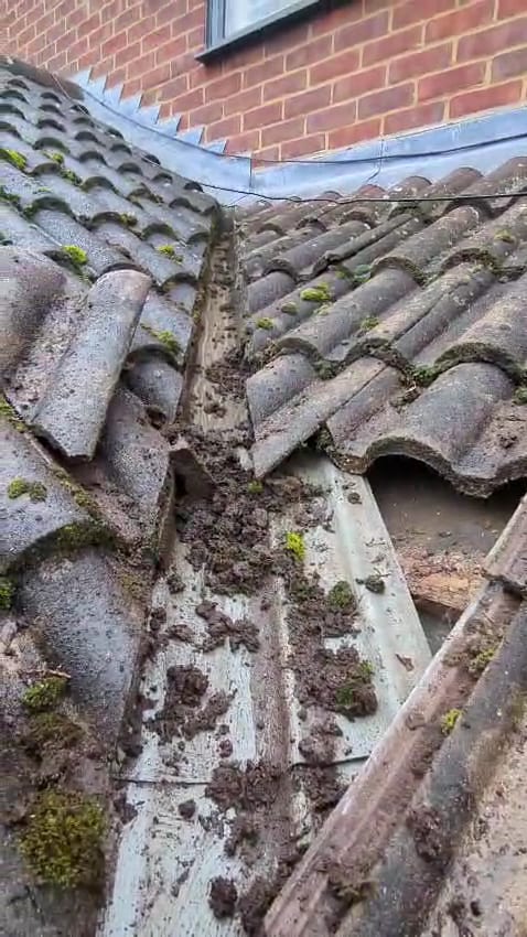 Skymac roofing & guttering, photo 2