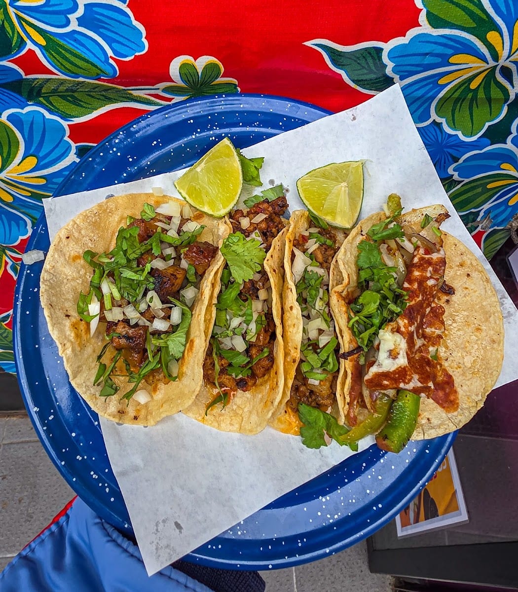 El Nopal Taqueria, photo 4