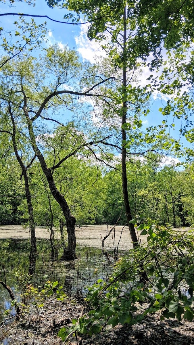 Rangeline Nature Preserve, photo 4