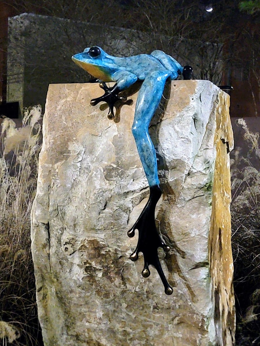 Vogel Schwartz Sculpture Garden
