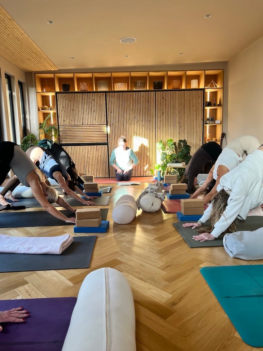Silver Birch Yoga, photo 4