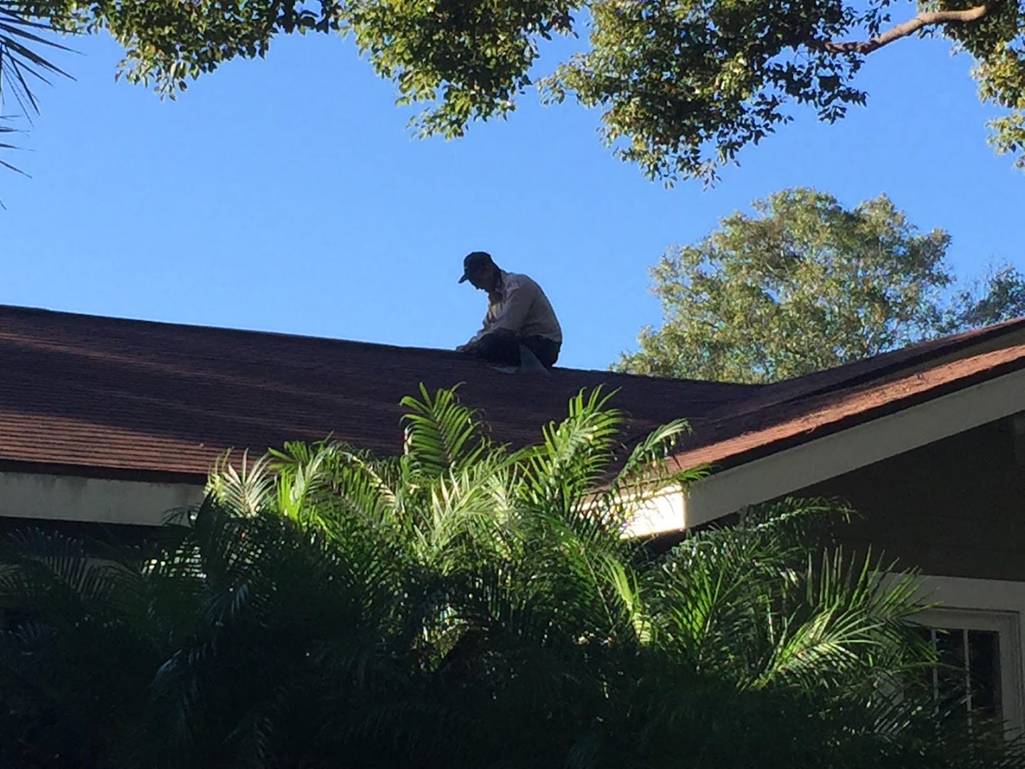 Turner Pest Control, photo 4