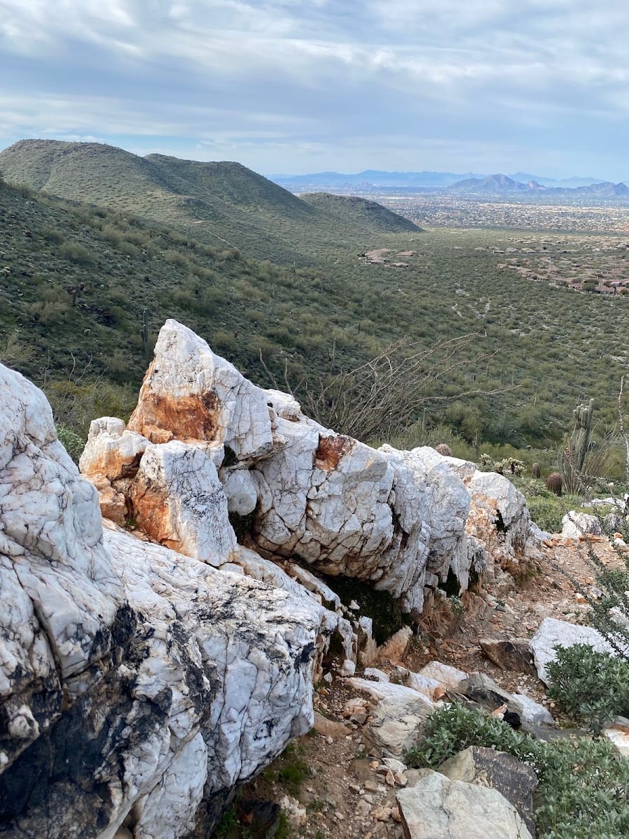 Quartz Trail Outcropping