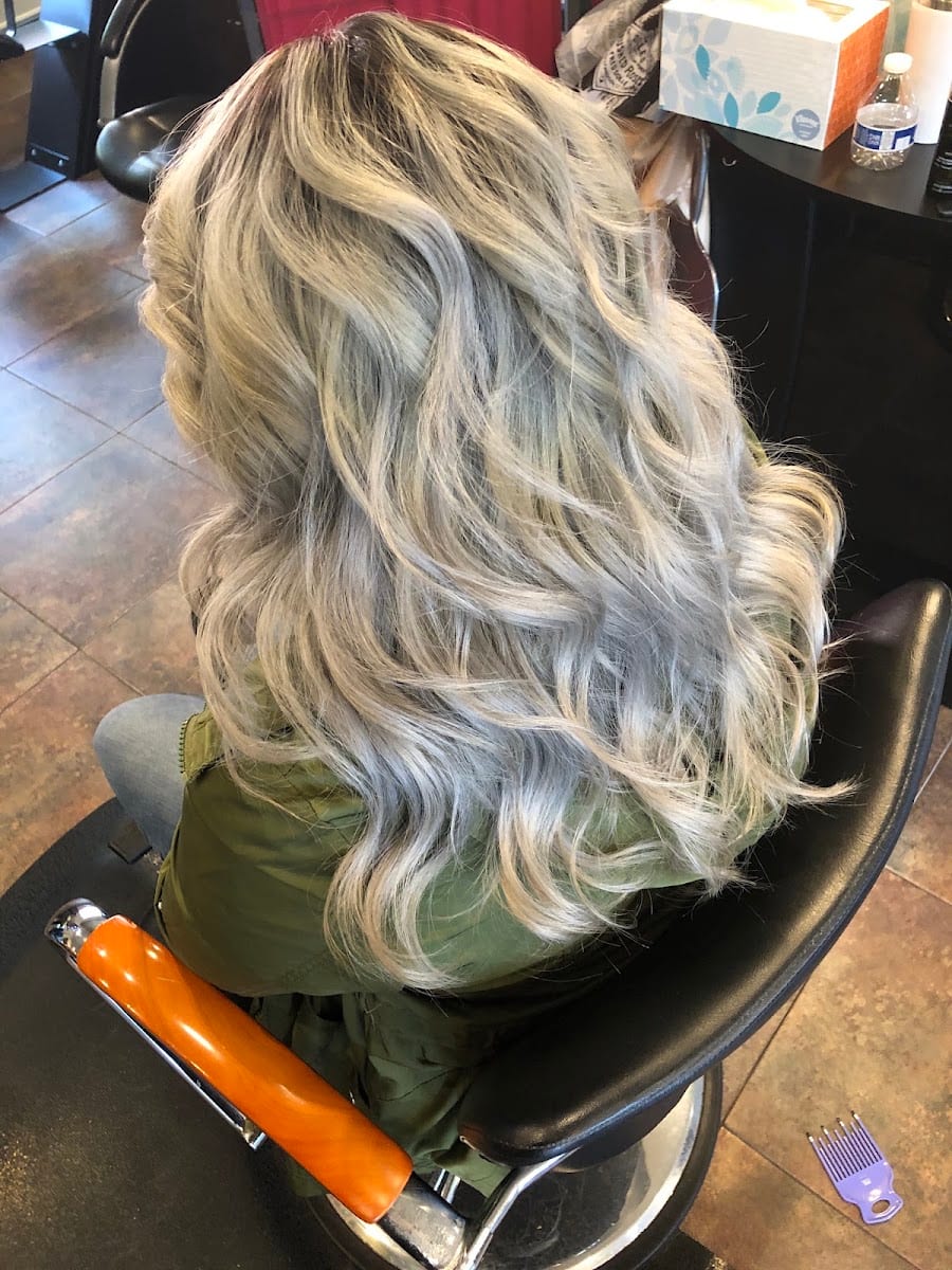 Liz's Hair Spa & Waxing