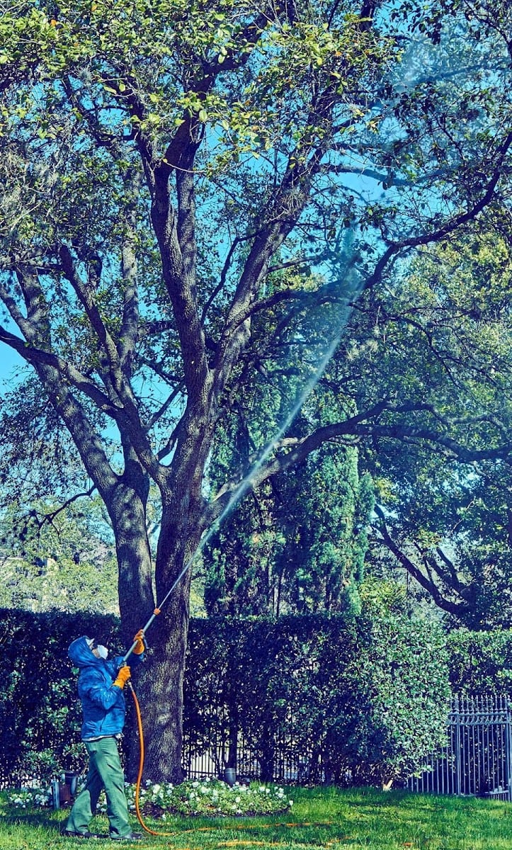 Tree Care Inc - Brenham, photo 3