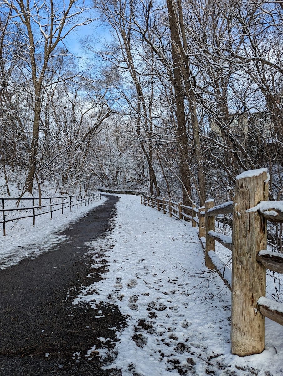 Brookdale Park