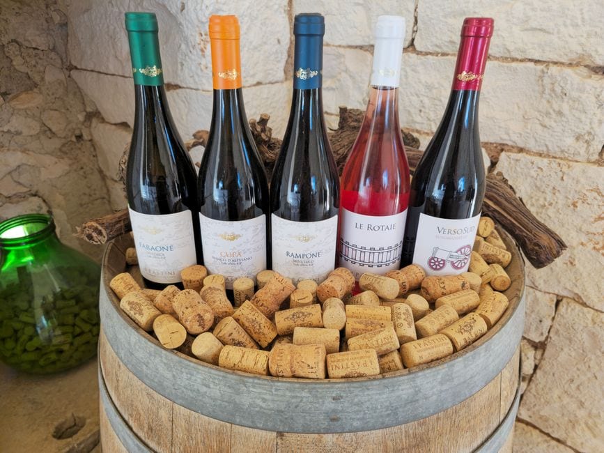 Sip, Stay & Savor: Uncover Grand Traverse's Hottest Hotels and Wine Escapes
