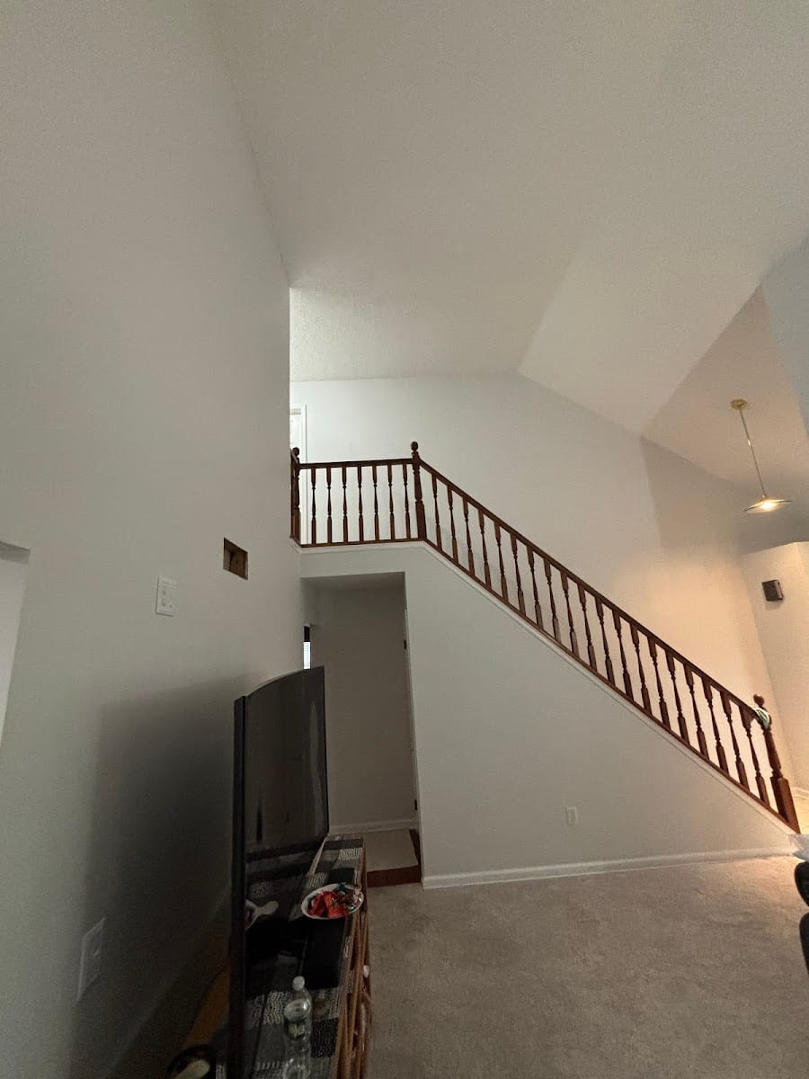 Laings Painting and Carpentry, photo 4