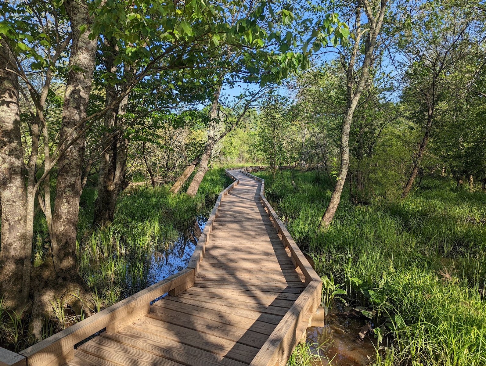 Rocky River Nature Park, photo 3