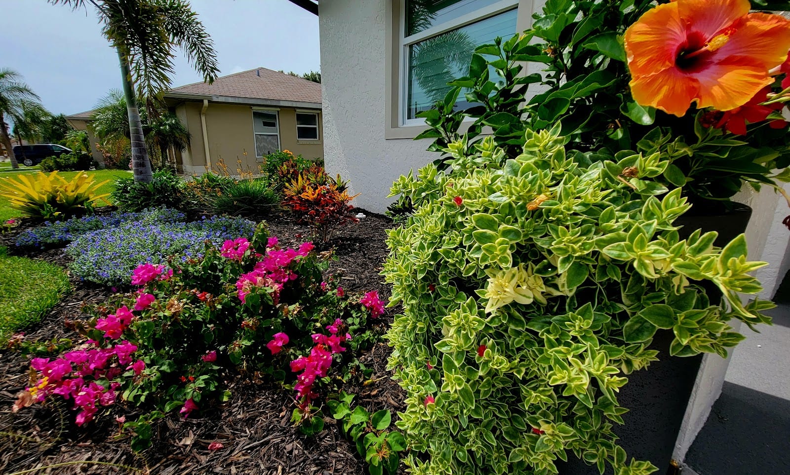SOCO Outdoor Solutions LLC, photo 4