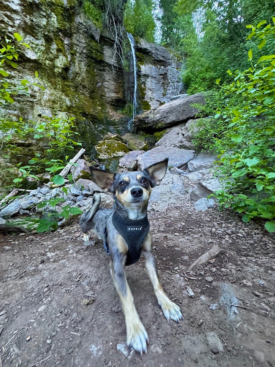 Richards Hollow Falls