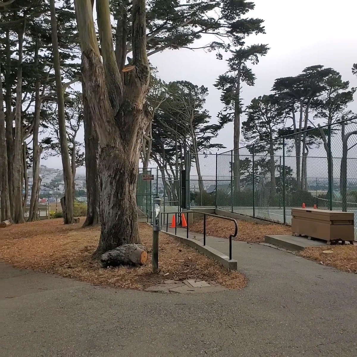 Holly Park Basketball Court
