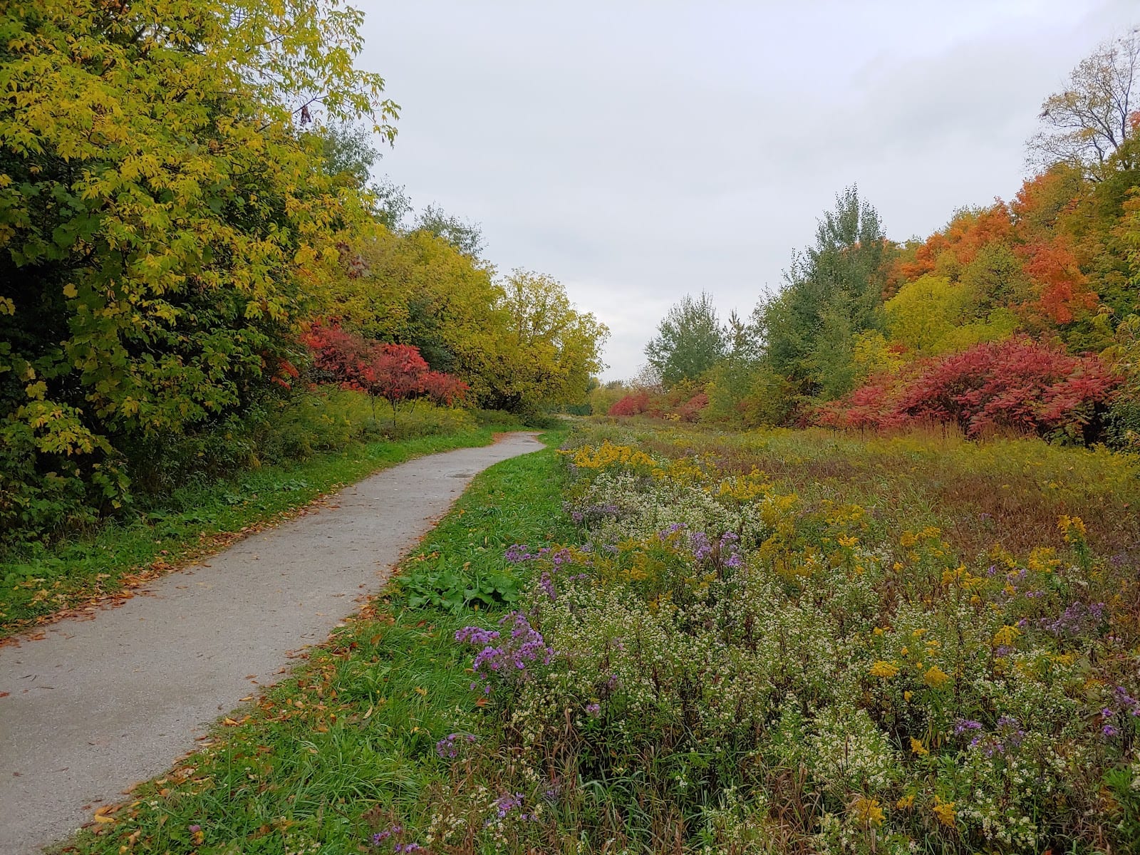 Oak Ridges Corridor Conservation Reserve, photo 3