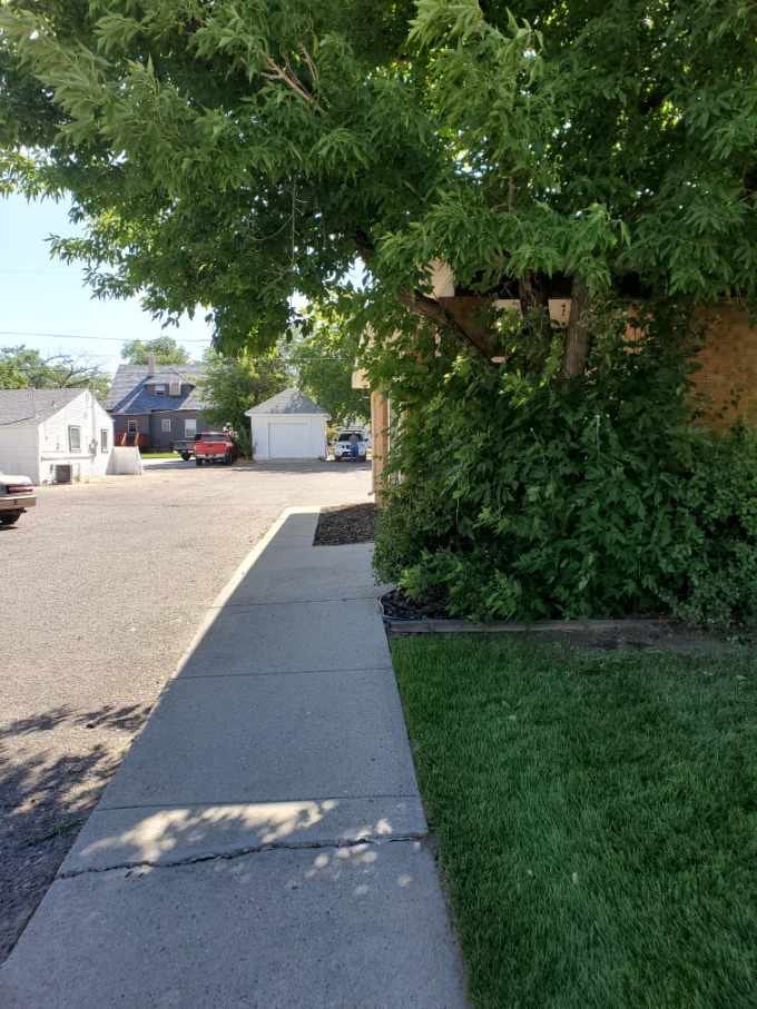 F&G Landscaping, photo 4