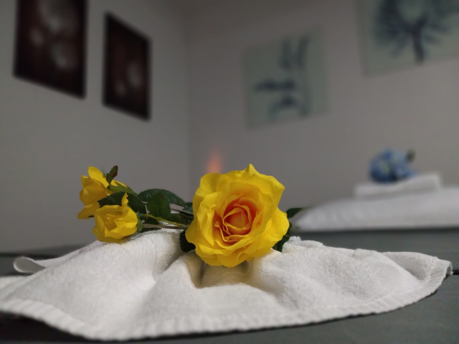 Houston Thai Massage, photo 4