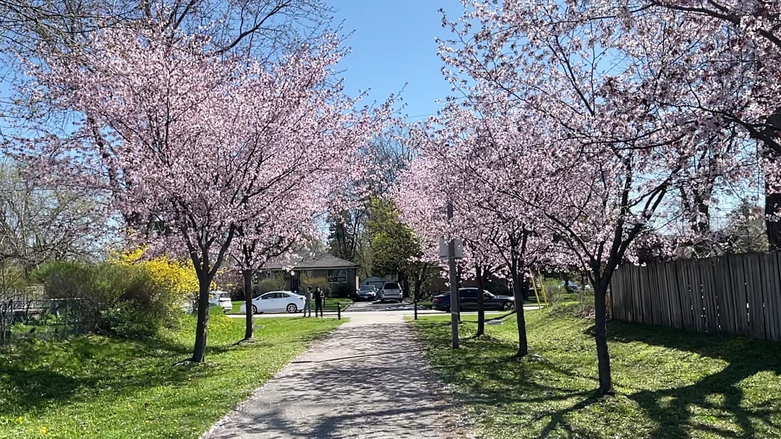 Sussex Park, photo 2
