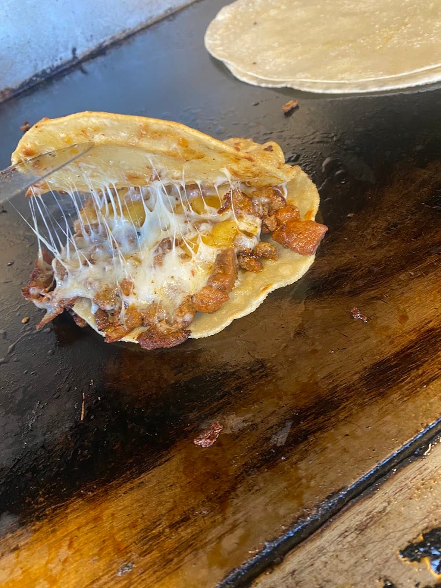Habanero Taquería, photo 3