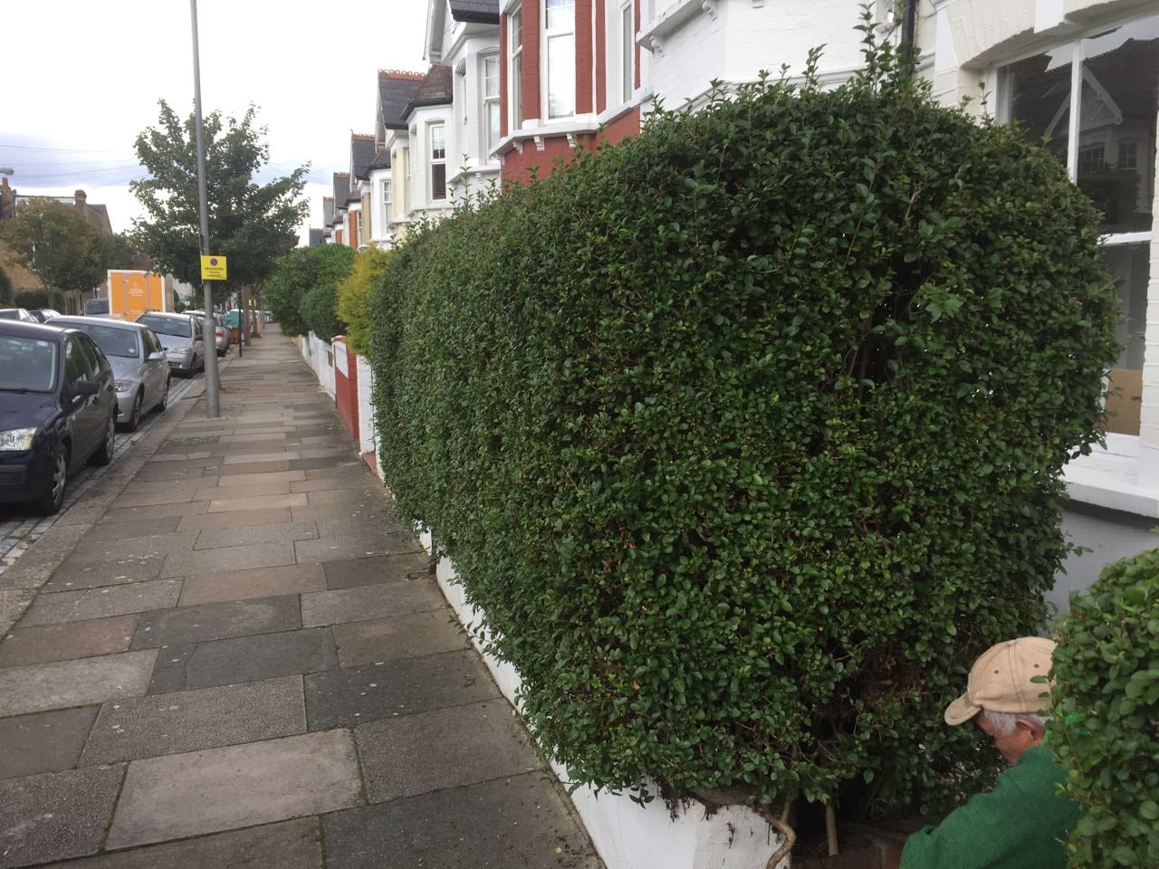 Super Gardener, photo 2