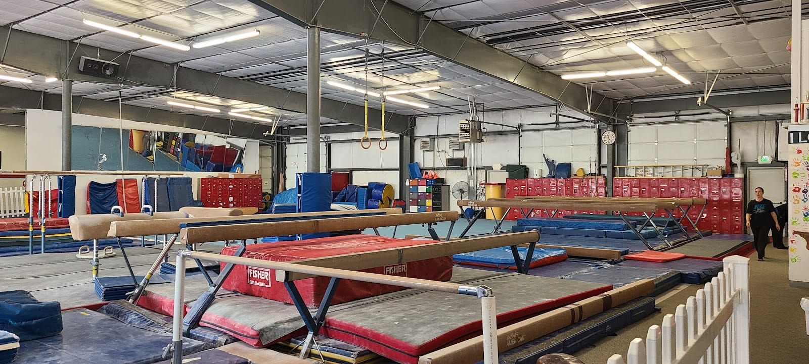 Altius Gymnastics Academy, photo 2