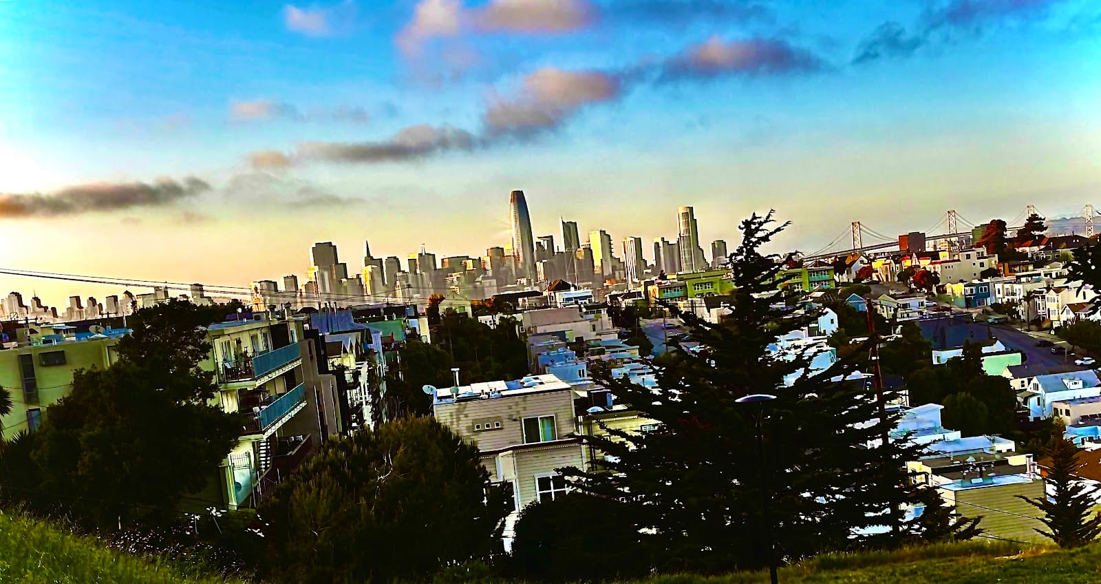 Potrero Hill Dog Play Area