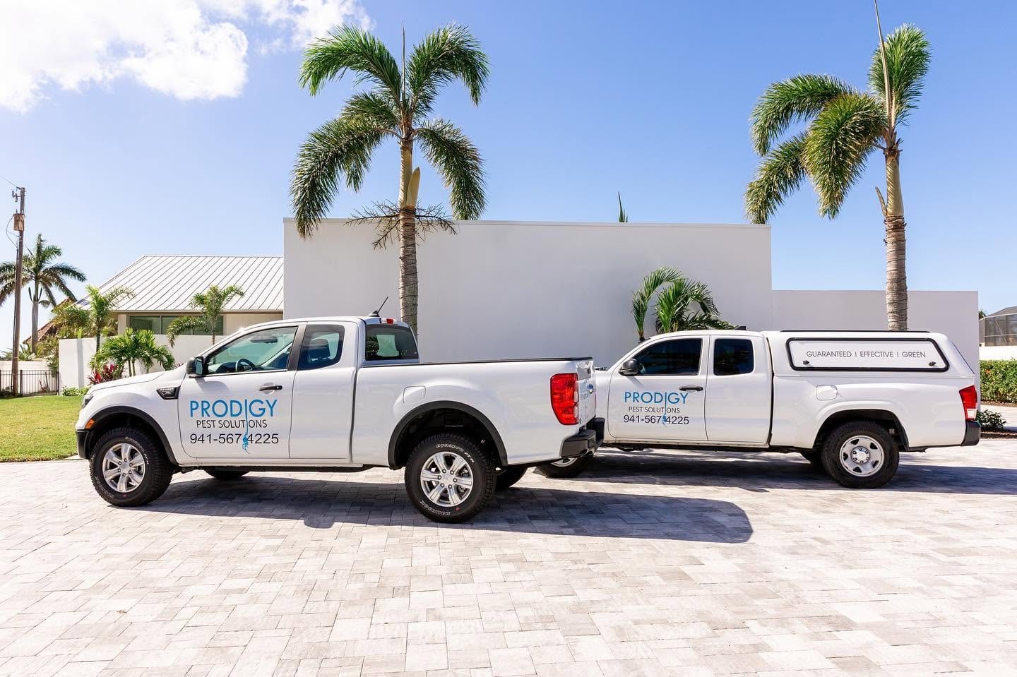 Prodigy Pest Solutions