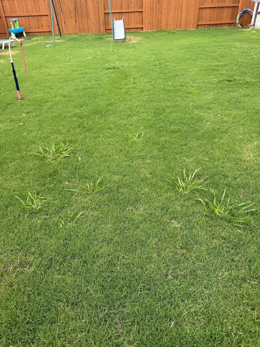 TruGreen Lawn Care, photo 3