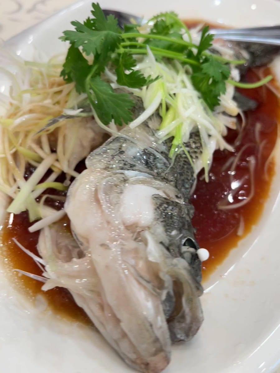 Taste of Fusion, photo 2
