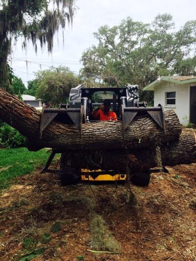 Robert Reynolds Landscape, Inc., photo 4