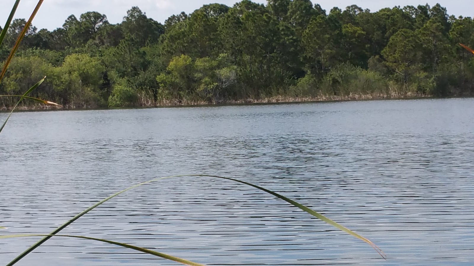 Lakeside Plantation CDD, photo 3