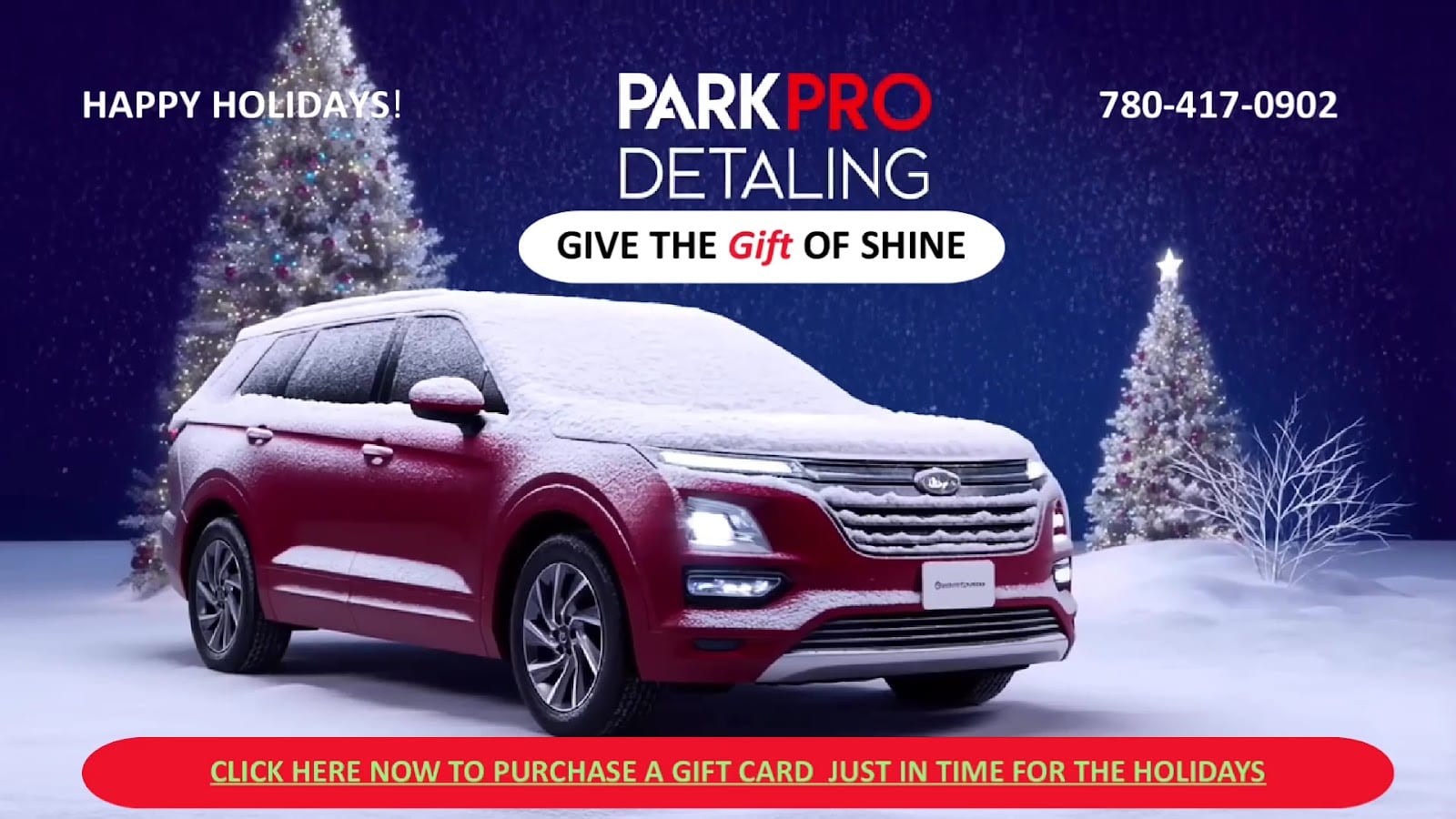 Park Pro Detailing, photo 3