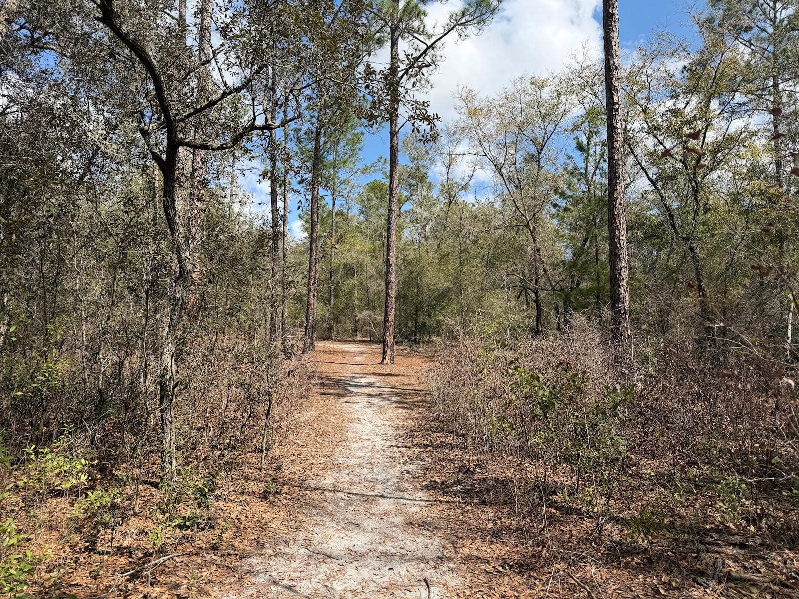 Old Jennings Recreation Area