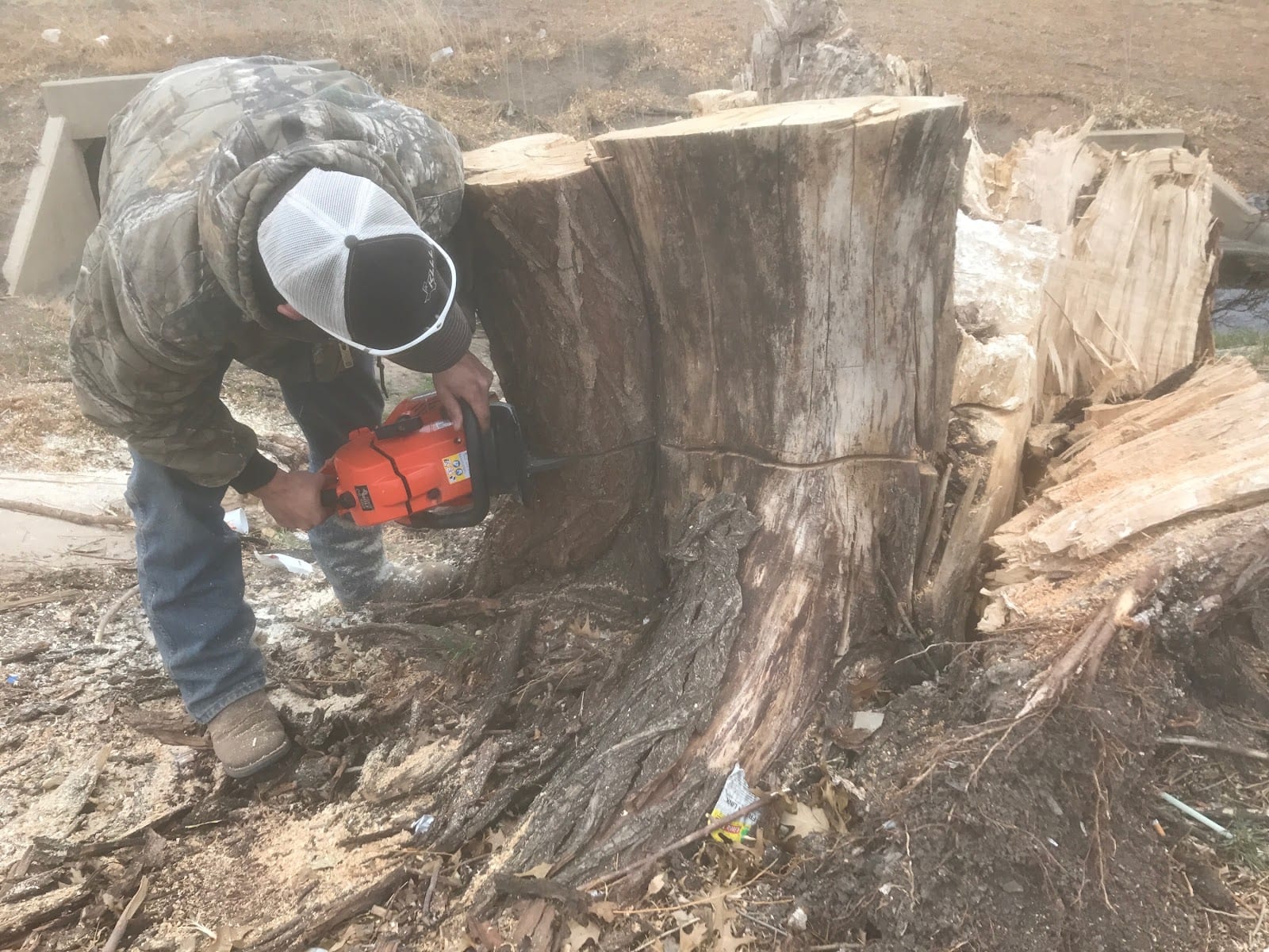 Tomcat's Tree Service LLC