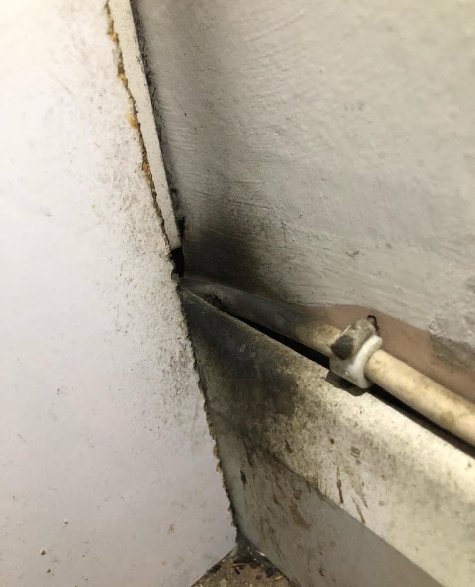 TAILORED PEST CONTROL, photo 2