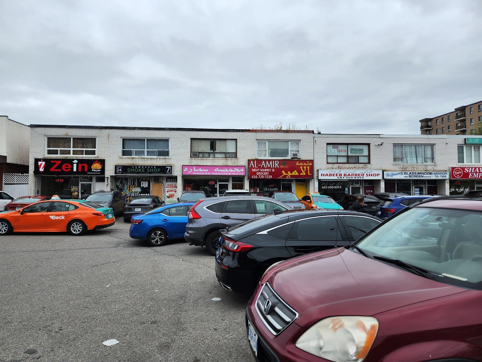 The Arab Community Center of Toronto, photo 3
