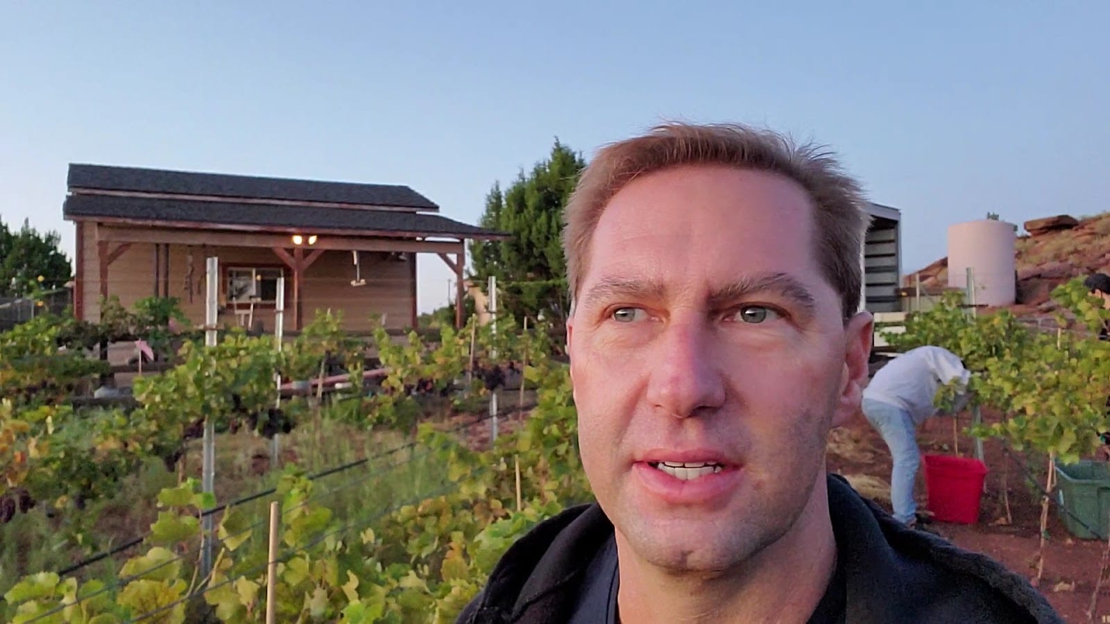 Desert Rock Winery & Distillery, photo 3
