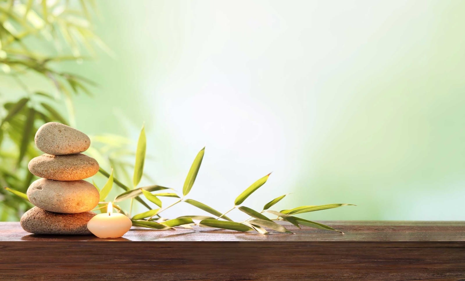 BeautyMed Acupuncture &Therapy Inc., photo 2