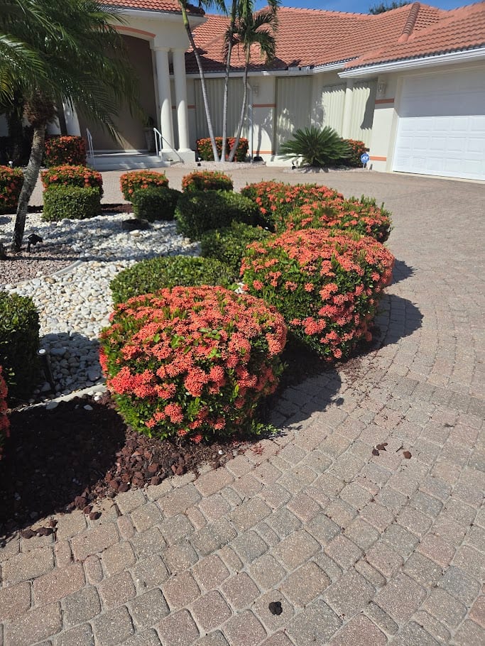 Ranson Pest Control, photo 3