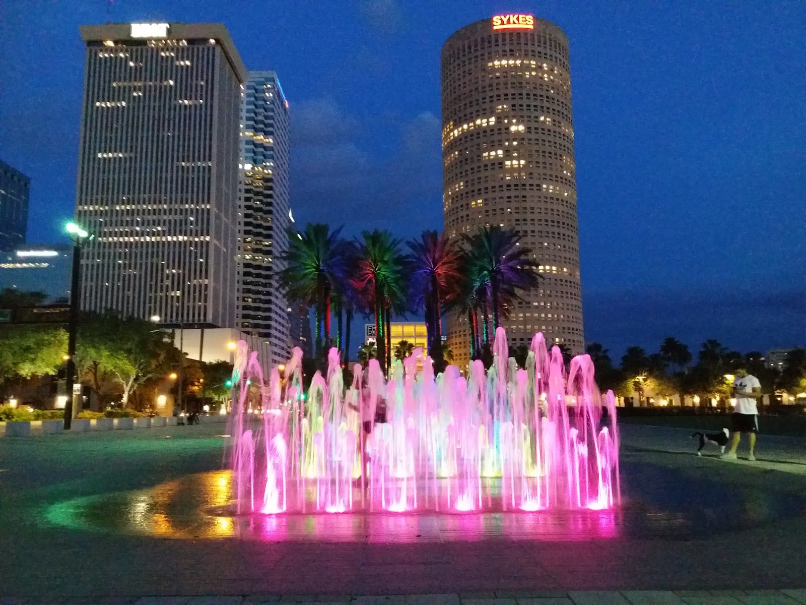 Curtis Hixon Waterfront Park, photo 3