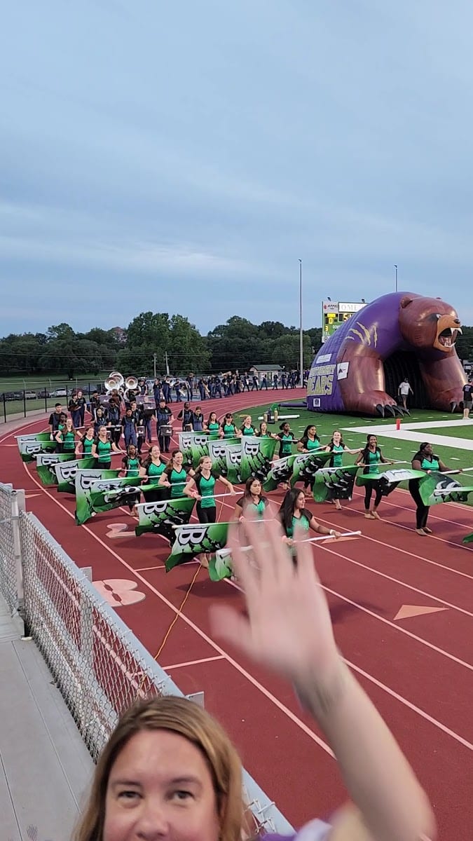 Cub Stadium, photo 3