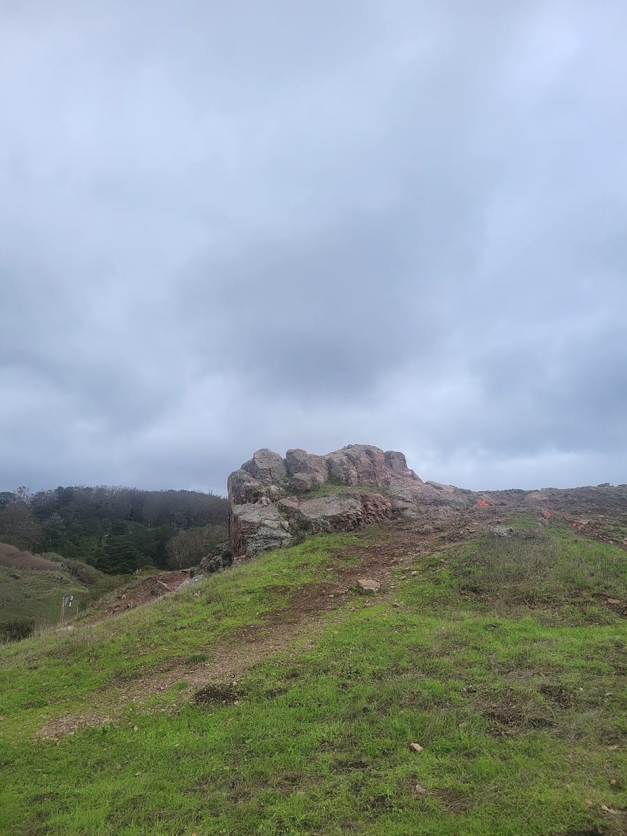McLaren Park Dog Play Area, photo 2