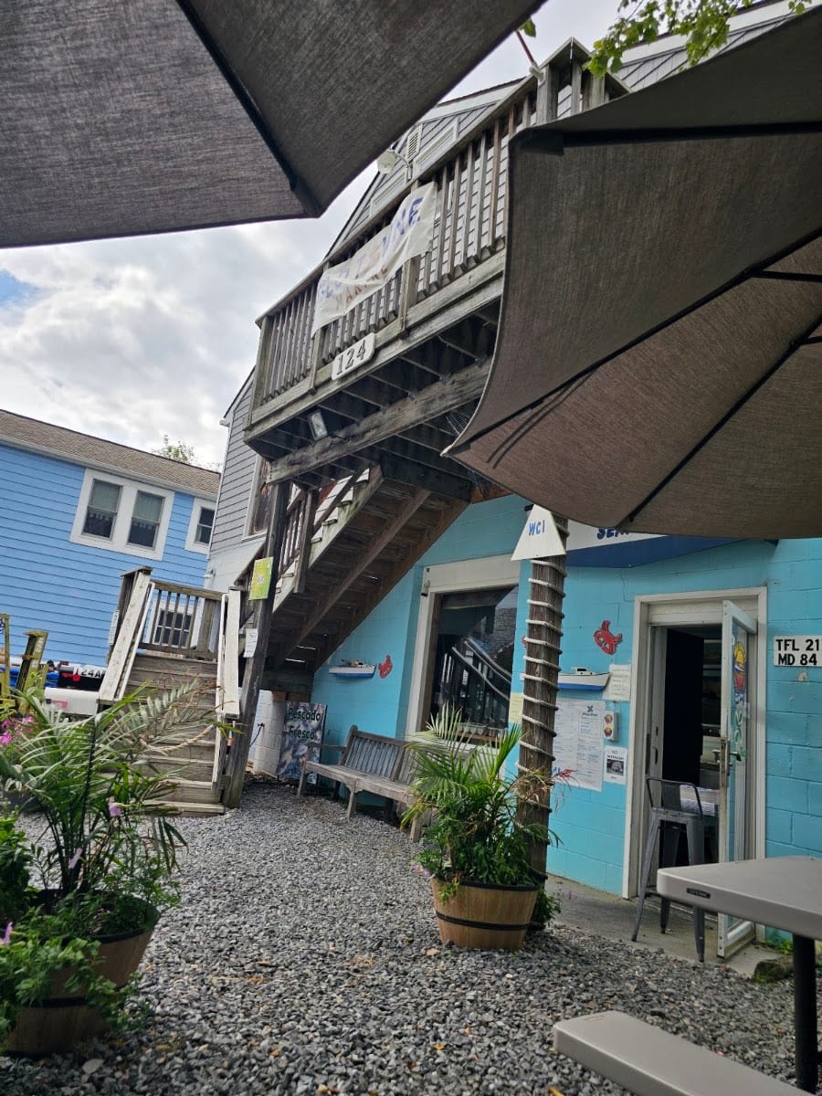 Wild Country Seafood
