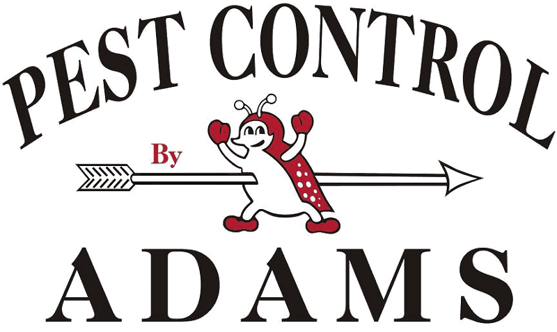 Adams Pest Control, photo 3