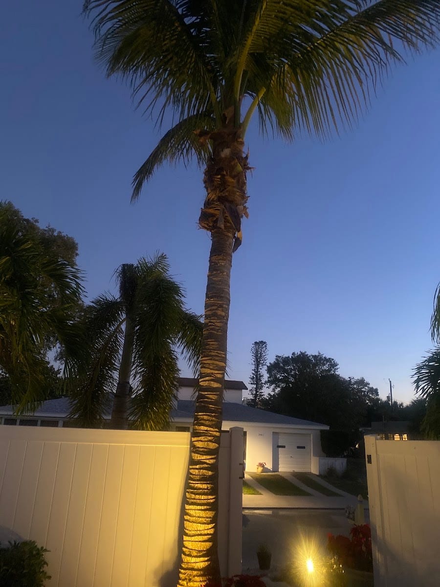 Oharas tree service and lawncare .llc, photo 2