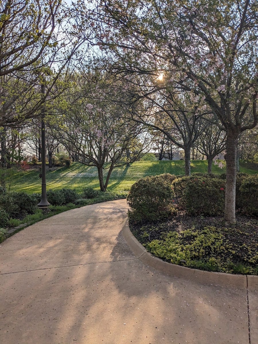 Healing Garden